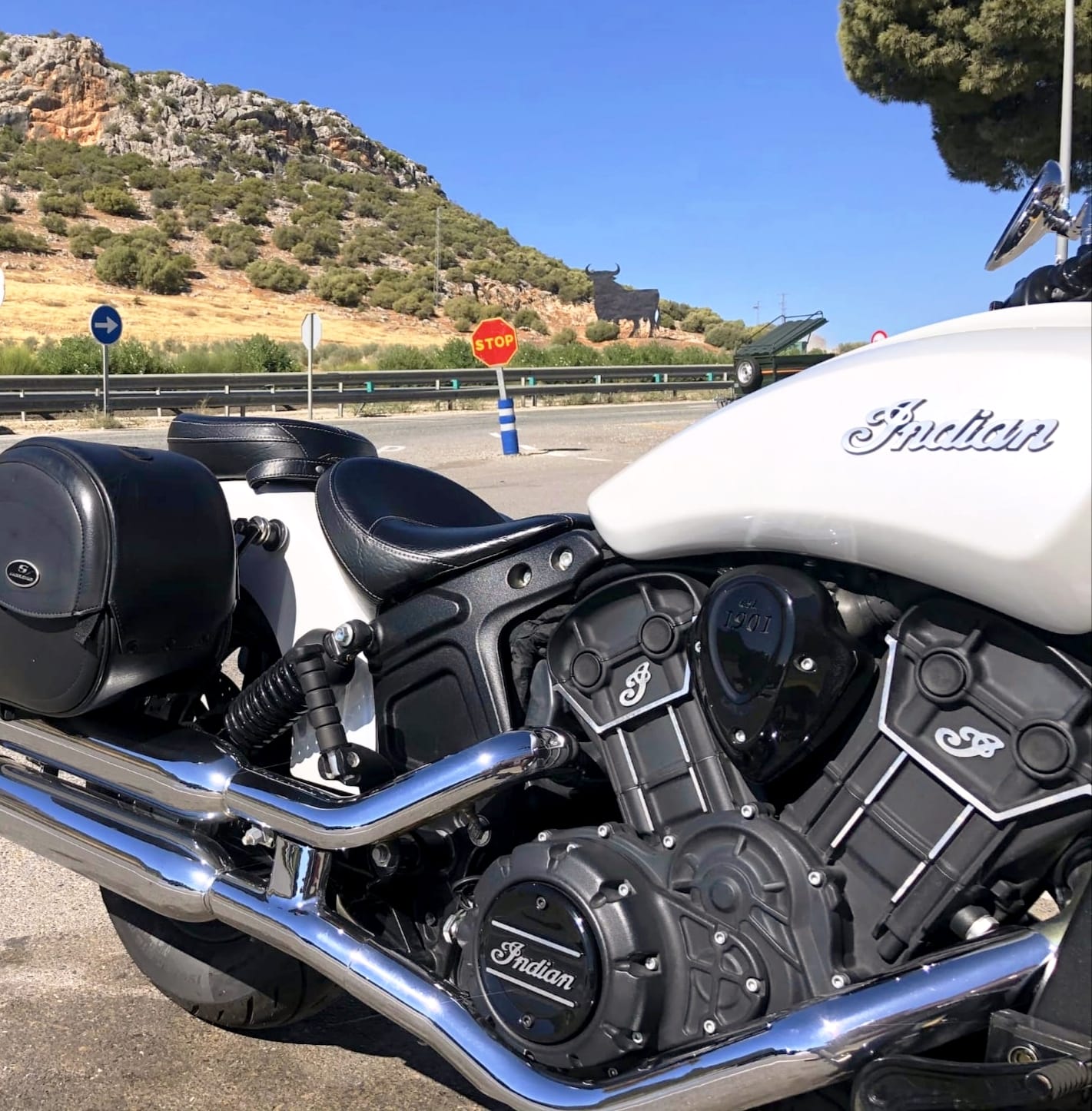 Joseba Mirena Head of Technology